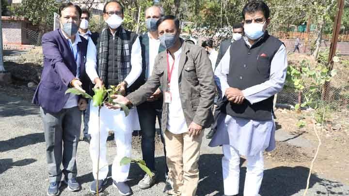 मुख्यमंत्री श्री चौहान ने बादाम और काला शीशम का पौधा लगाया